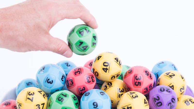 Bạch Thủ Lô Là Gì?